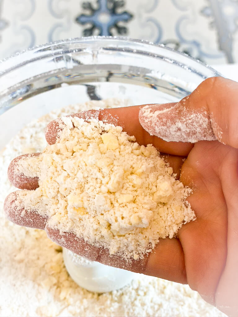 butter worked into flour mixture 